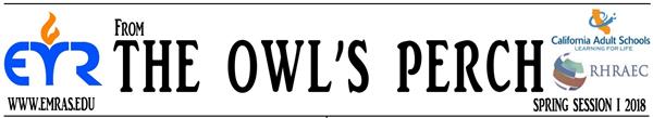 From the Owl's Perch January 2018